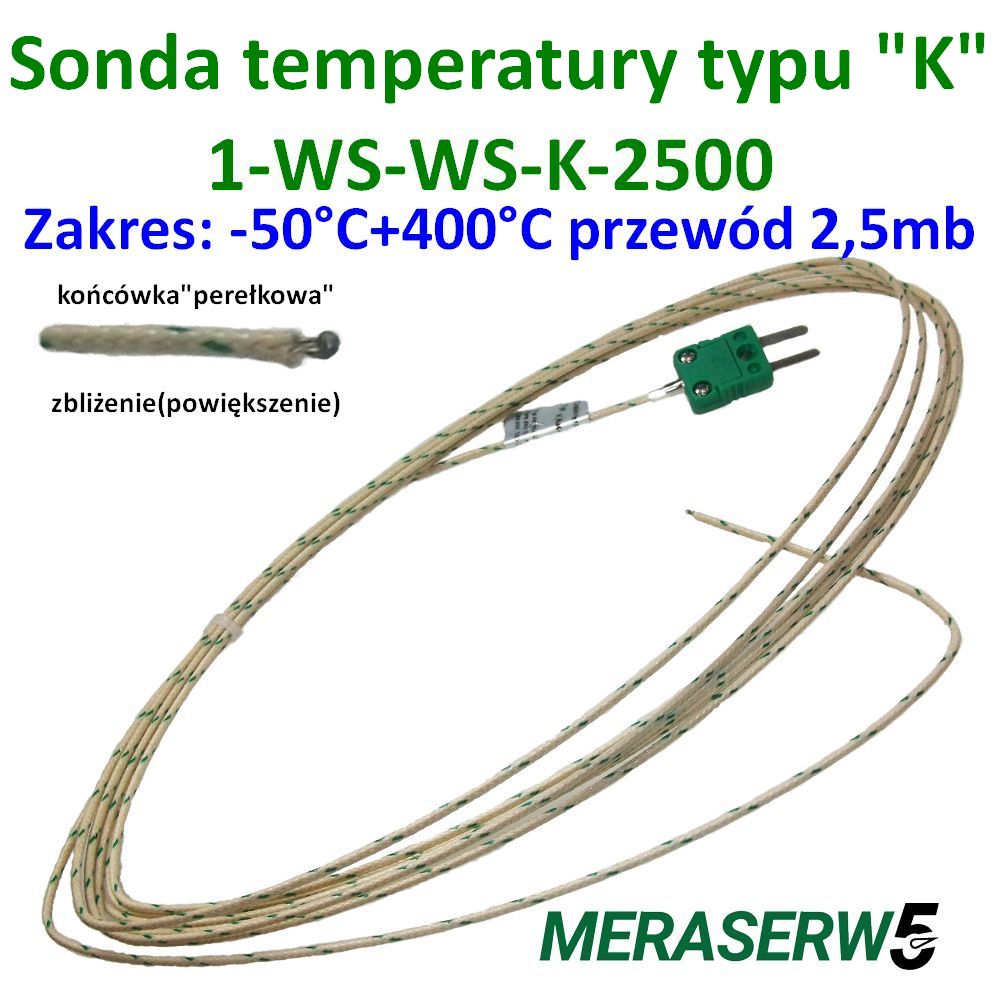 WSWS 2500