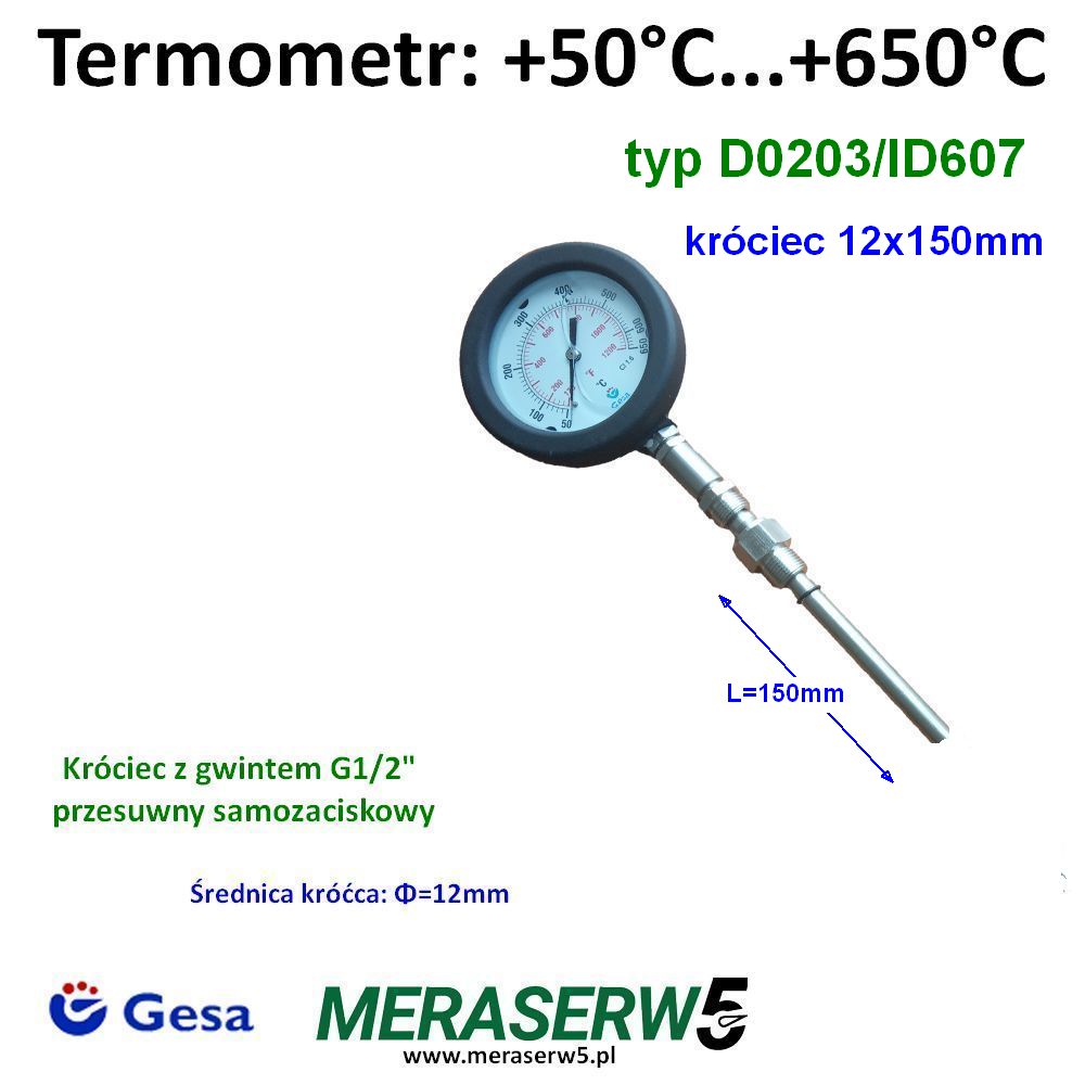 D0203 ID601
