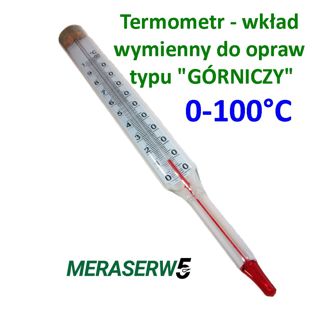 gorniczy0 100 wklad