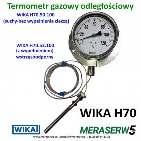 WIKA H70.50.100