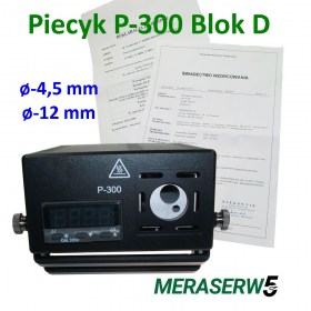 piecyk model P300 blok D