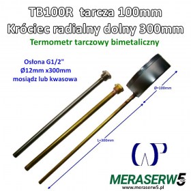 TB100R300mm